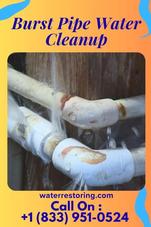 Burst Pipe Water Cleanup in Delta, OH