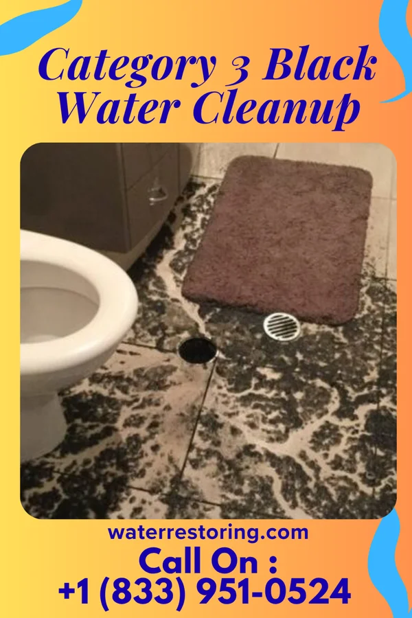 Category 3 Black Water Cleanup in Delta, OH