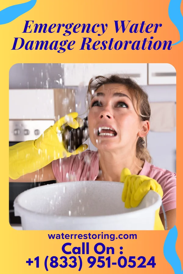 Emergency Water Damage Restoration in Delta, OH