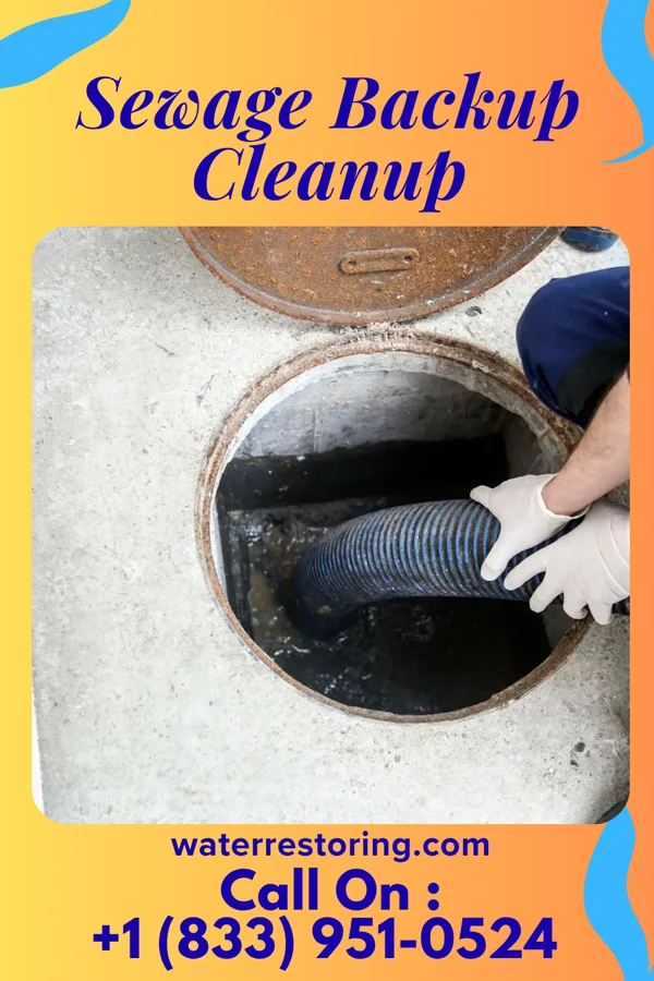 Sewage Backup Cleanup in Delta, OH